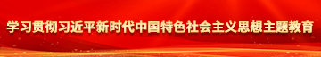 扣逼成人电影学习贯彻习近平新时代中国特色社会主义思想主题教育